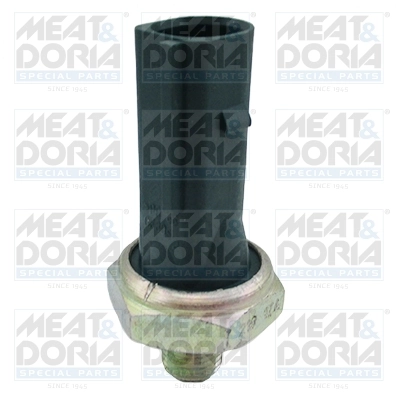 Oil Pressure Switch